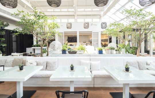 40519035_10155944685402058_8775911172747558912_n